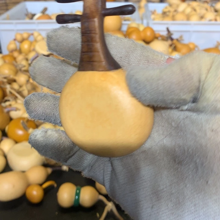 你的孩子还小嘛哈啊不