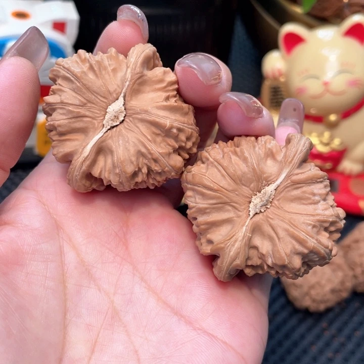 王***培白狮子4.4全品无修。