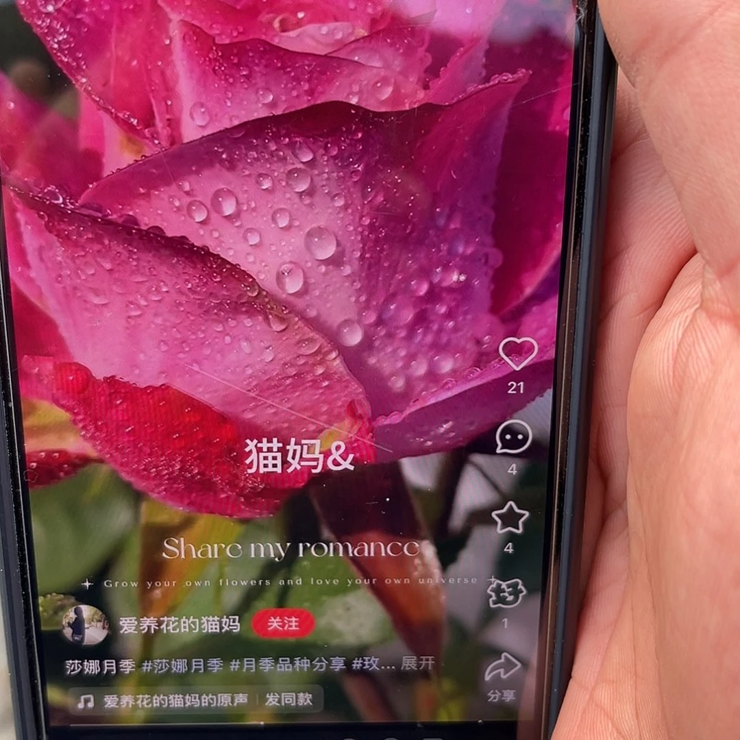 无花朵———莎娜 福利