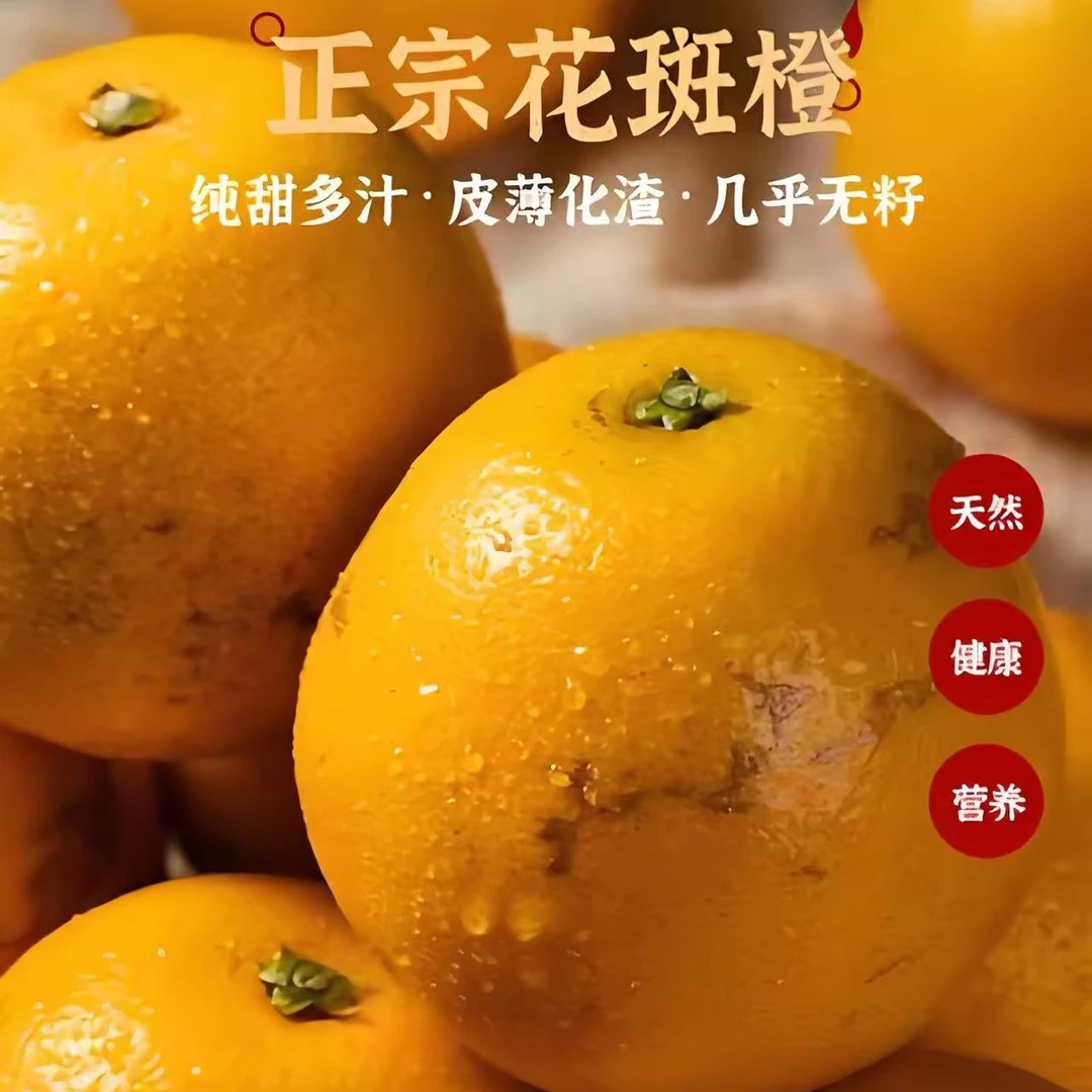 云南哀牢山老树冰糖橙新鲜应季水果现摘现发爆甜多汁