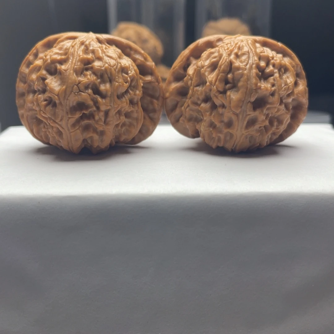 核桃精修白狮子46尺