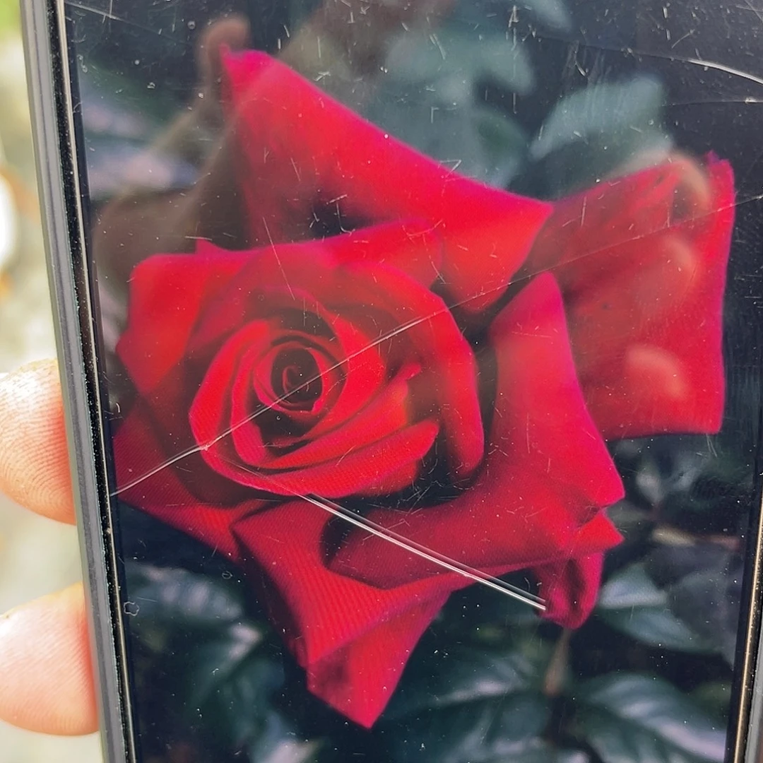 无花朵———消防员 福利款
