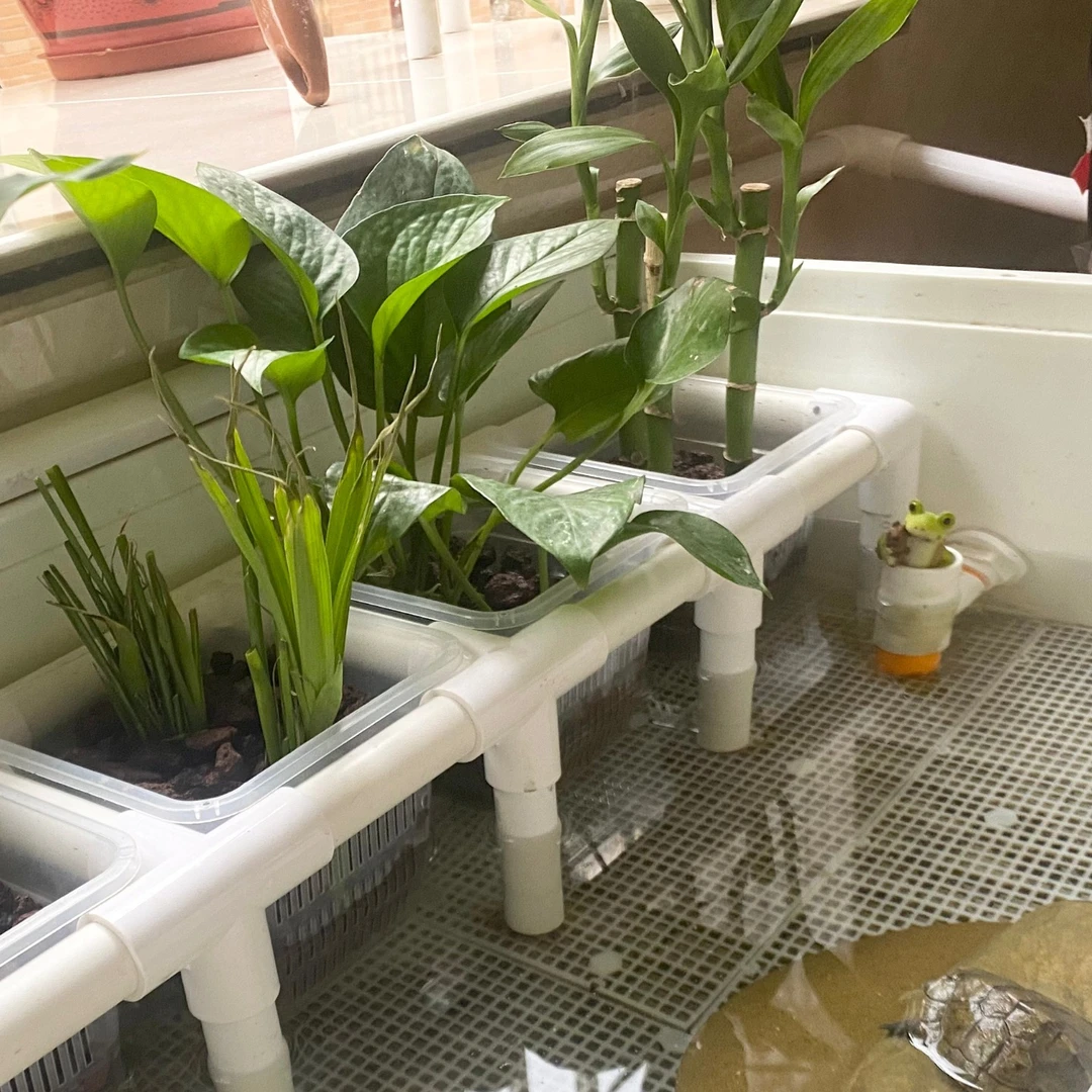 生态缸简约水培绿植造景定植篮支架乌龟缸固定鱼缸种植支撑架子