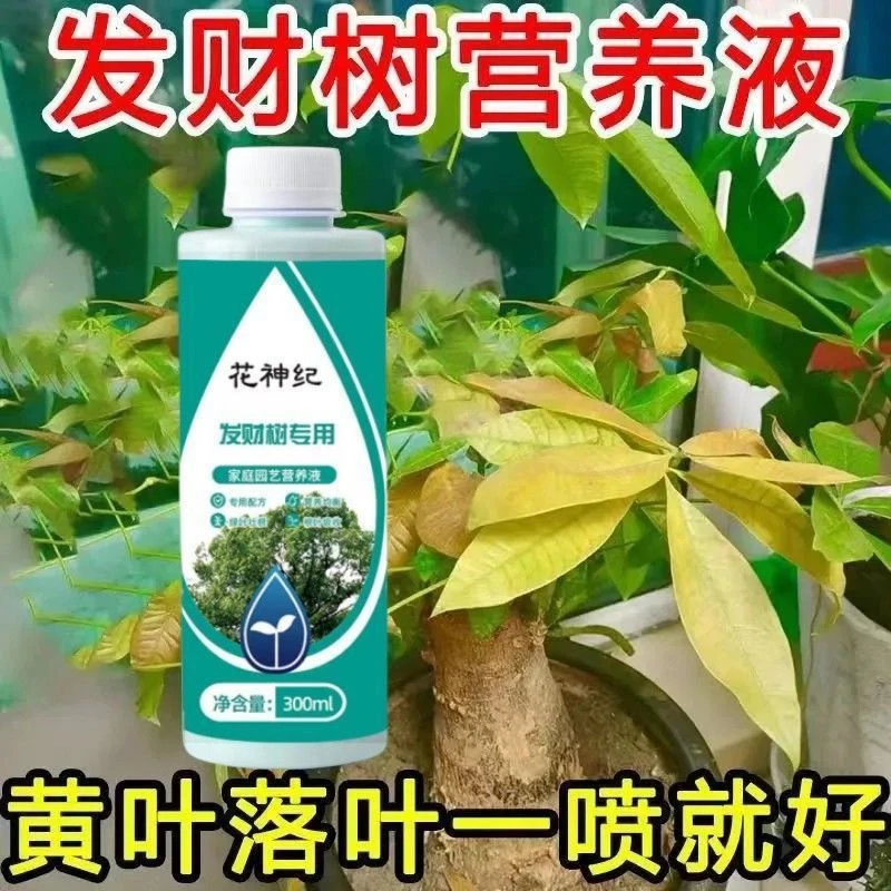 发财树专用营养液绿植水培通用型植物液体肥料生根壮苗家用养花卉