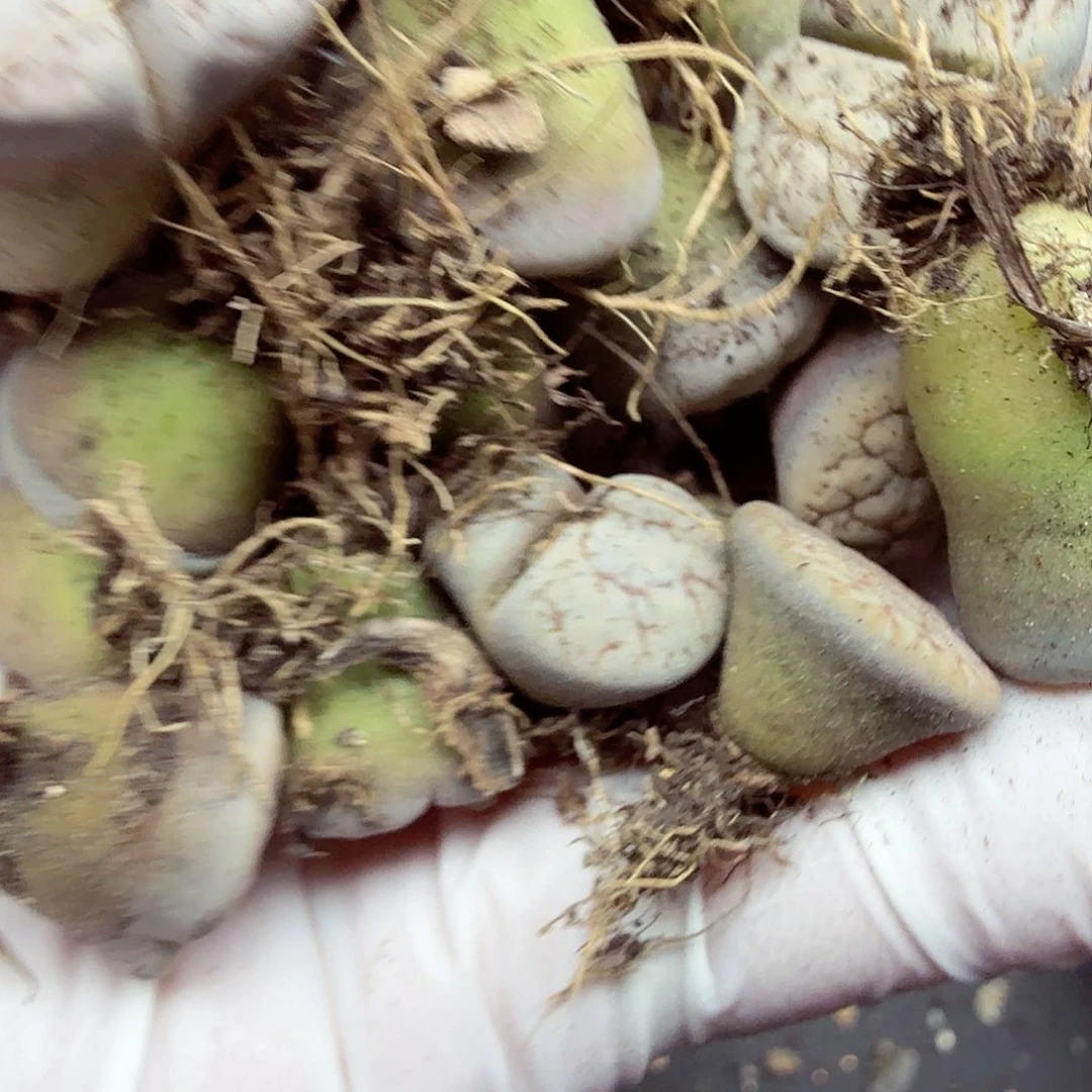 你不去上班呀么啊087这个