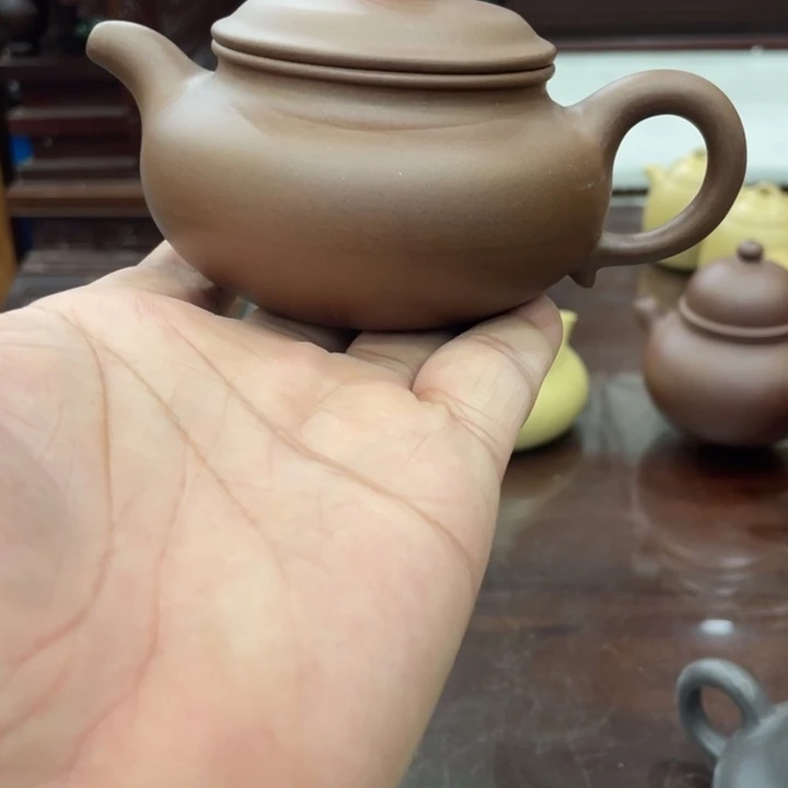 茶壶紫砂哈哈哈哈哈这个综艺节目真的是太棒啦