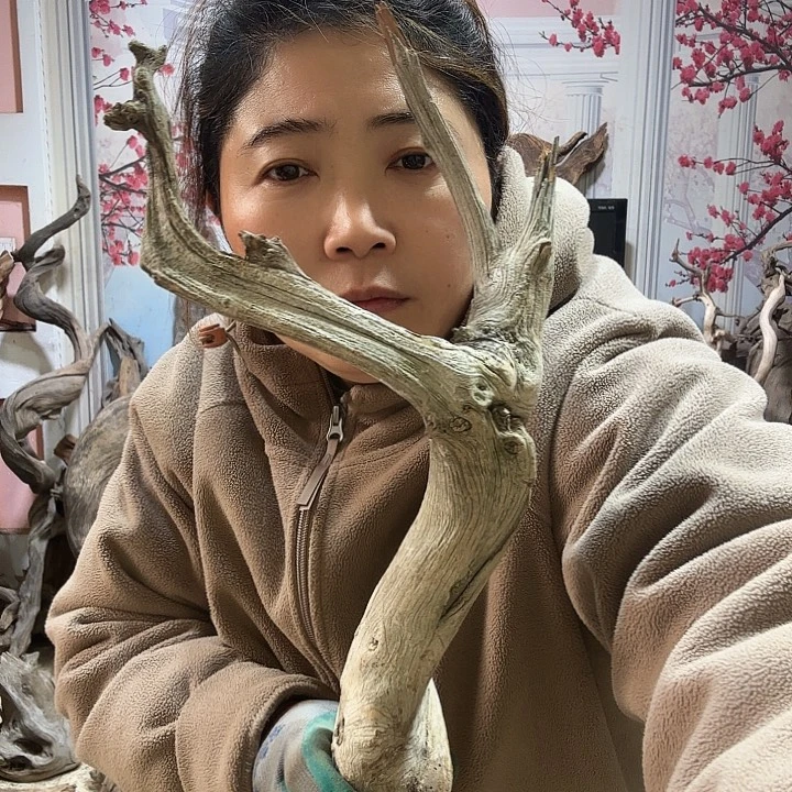 松***园有机玻璃好的好的