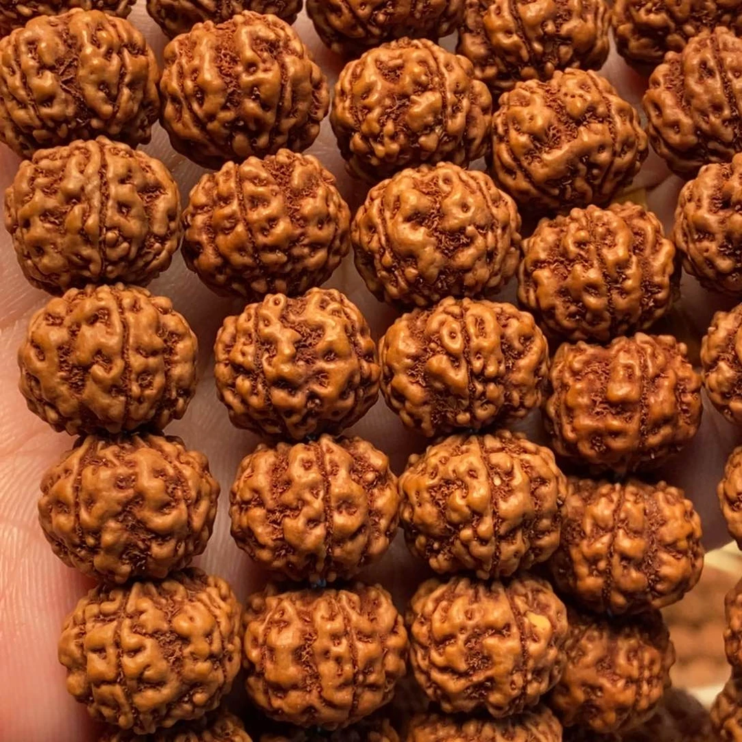 吊坠金刚菩提快****尖老树大梅花14