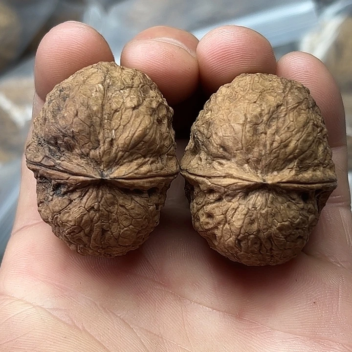 文玩核桃把件14号大元宝41尺