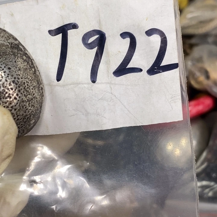 朵***3怡铄直播间家居饰品专属链接