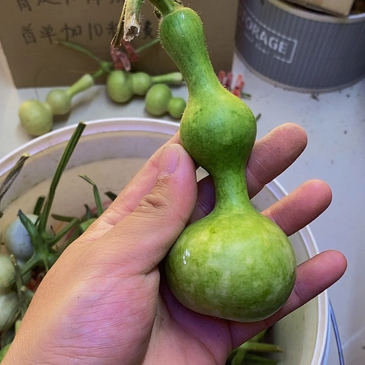 a****.长嘴哈哈哈哈哈哈恍恍惚惚