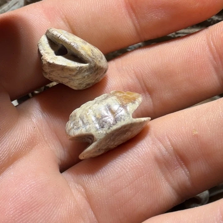 逍****好的我知道了我知道了我知道