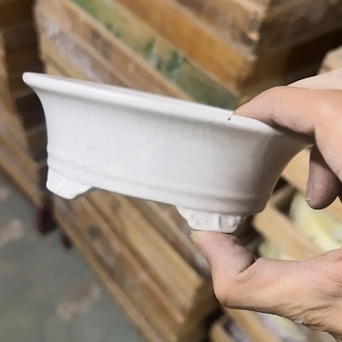 ·当场直播凑9发·慎拍·全是福利·