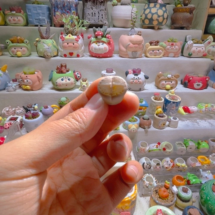 ?**希希宝专属链接拍拍