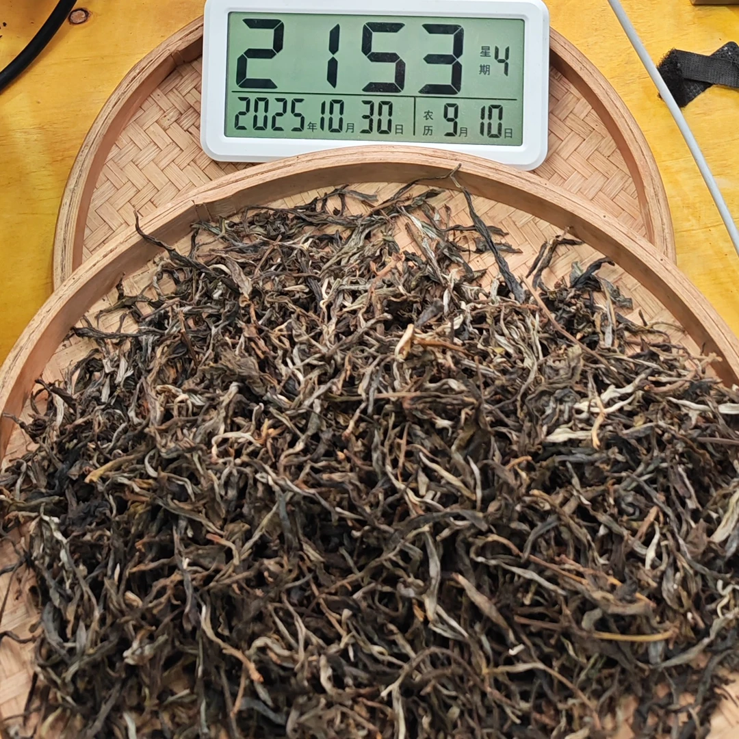 2025年春【小勐峨·生茶·古树】普洱晒青散茶-10月30日【07】