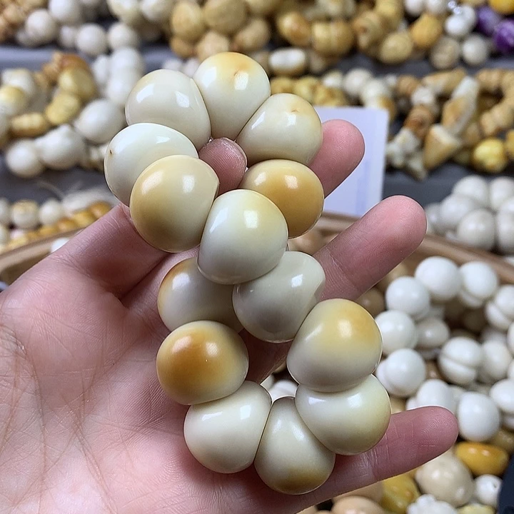 吊坠菩提根/象牙果象牙果大肠瑕疵 不退不换