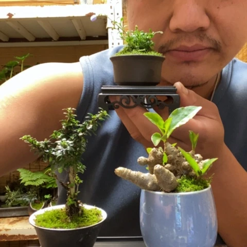 红陶一物一拍所见即所得147
