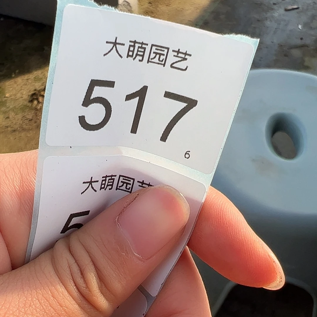 盆****.0000517 一物一拍脱土发