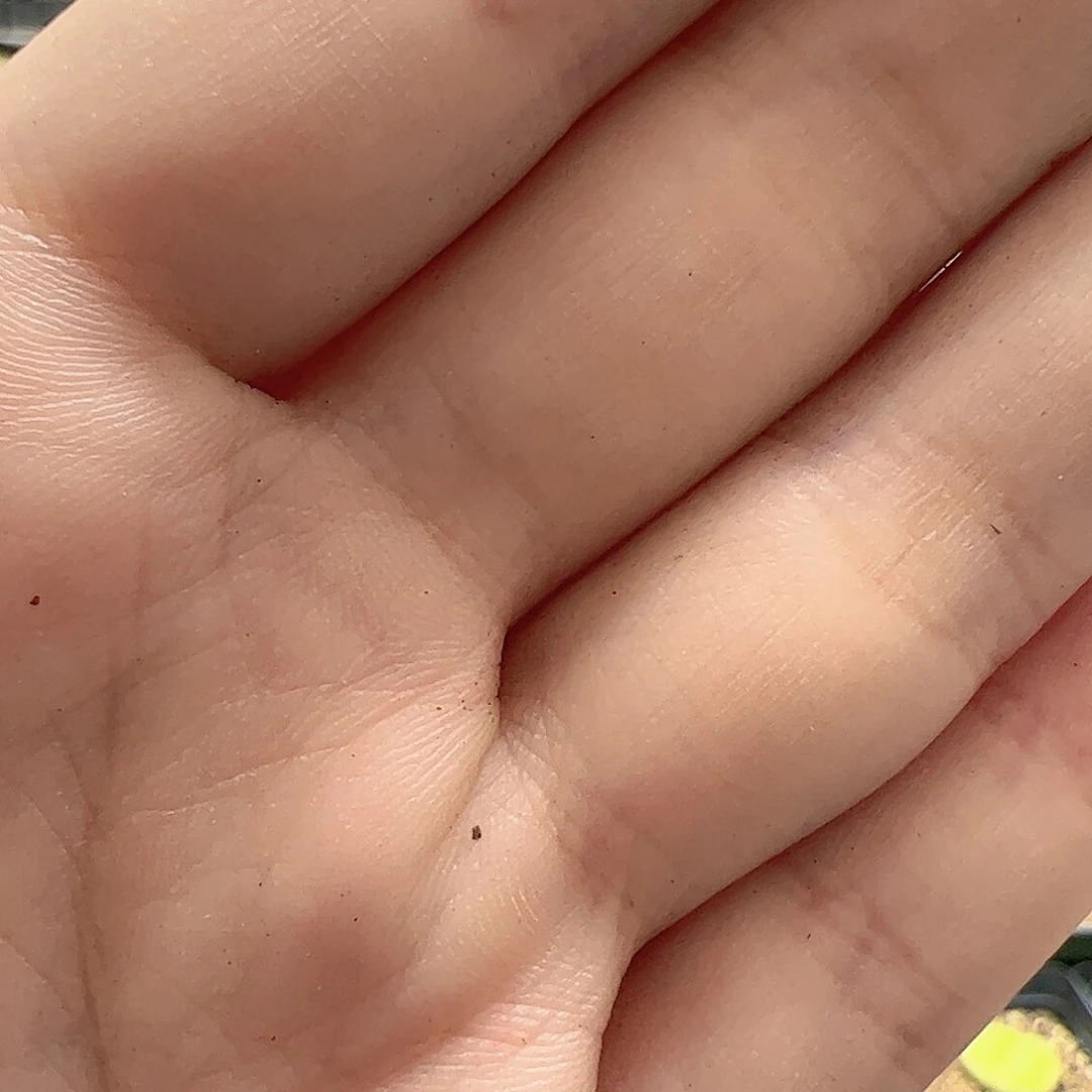 【闪购商品】文*样238  开播福利