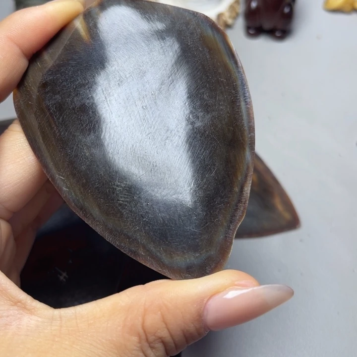 大果紫檀（缅甸花梨）