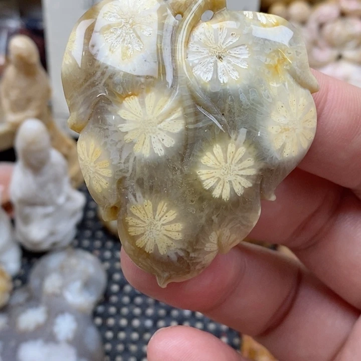 硅化珊瑚（珊瑚玉）未镶嵌颈饰