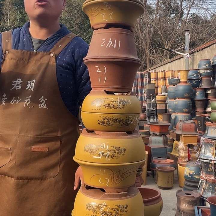 紫砂紫砂花盆盆栽