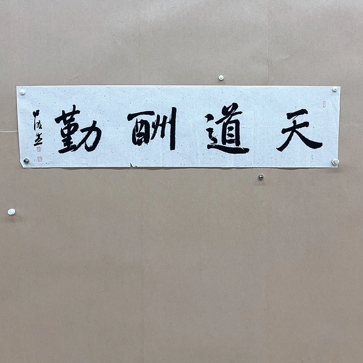 书法张晓燕138*34㎝甘肃理S