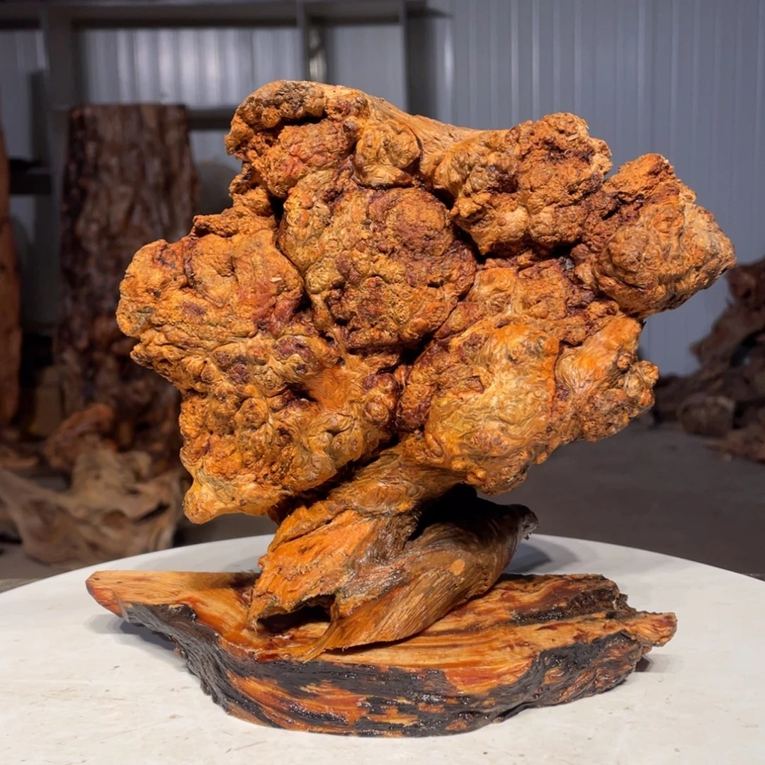 壹***列木猛子琥珀木摆件1