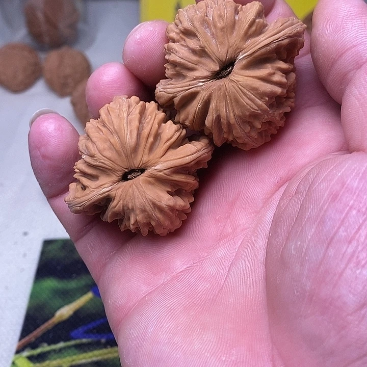 钱***量文玩核桃吊坠50.50.50