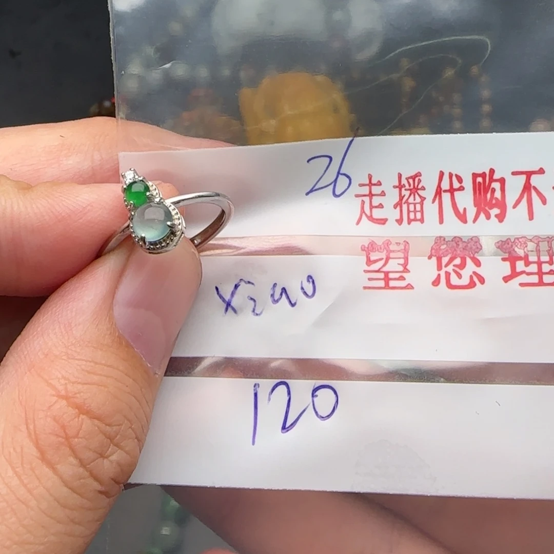 x***肖翡翠银S925镶嵌颈饰翡翠
