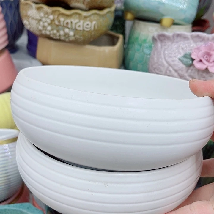 多肉植物陶瓷花盆