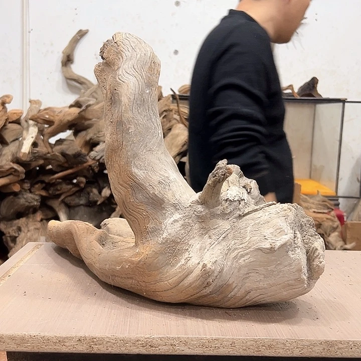 柏木W****我们都是好孩子呀我也是