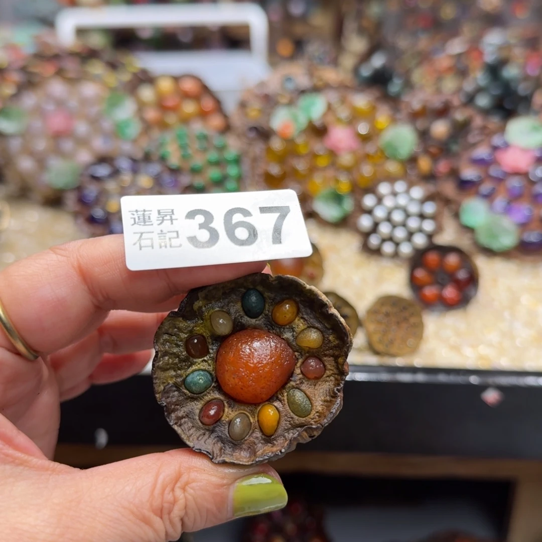 W***L核桃木/黑胡桃（胡桃木）367