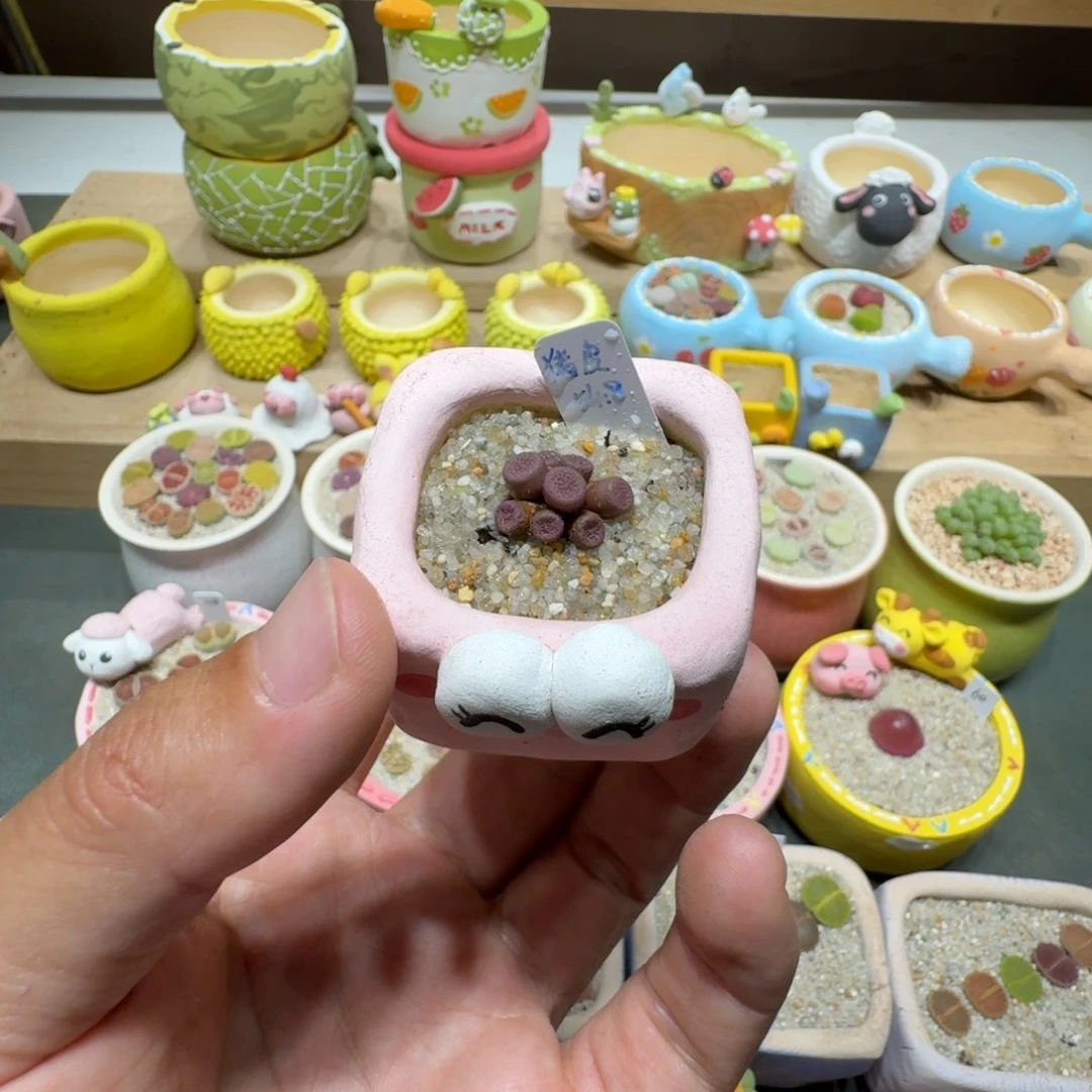 蘑菇238猪皮猪皮猪皮