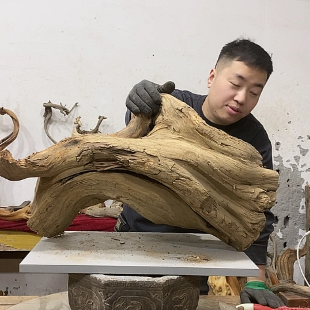 【闪购商品】柏木乐*我们都是好孩子