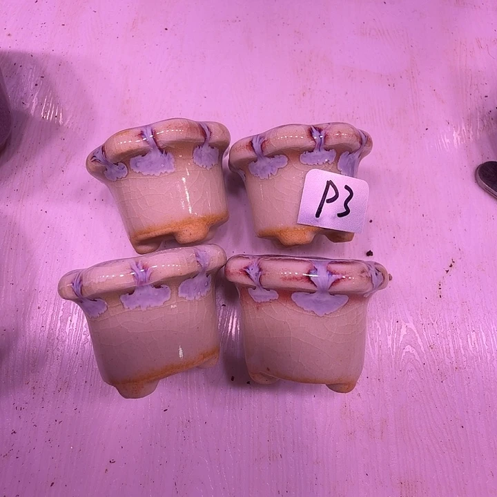 盆3，花边拇指4个，多肉盆闲置处理福利出！