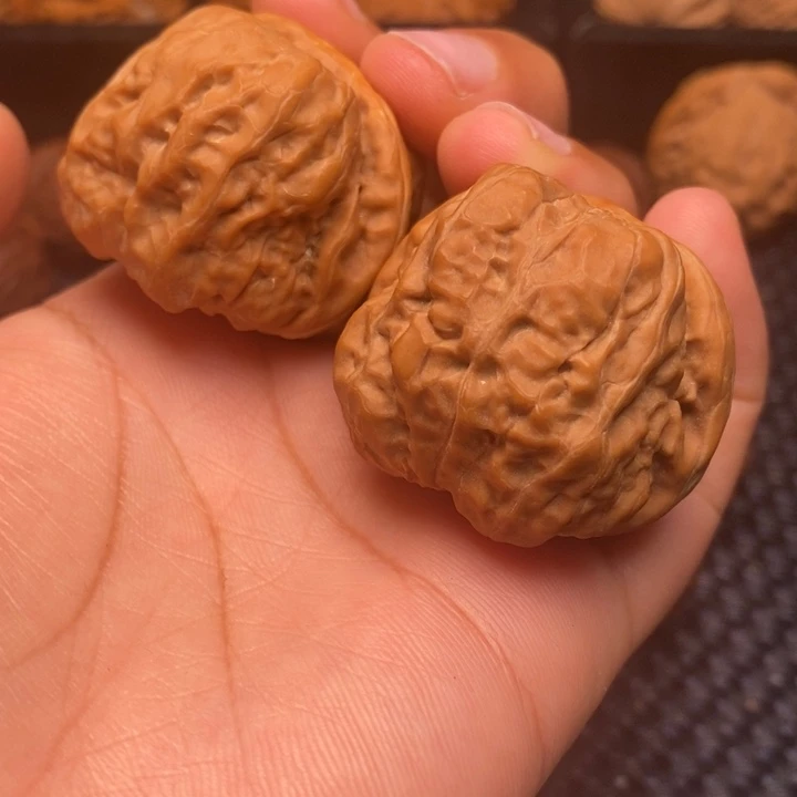 不****人秦岭野生11111111