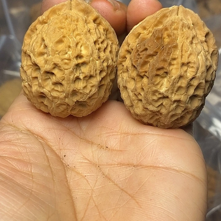 把件文玩核桃云南铁核桃90