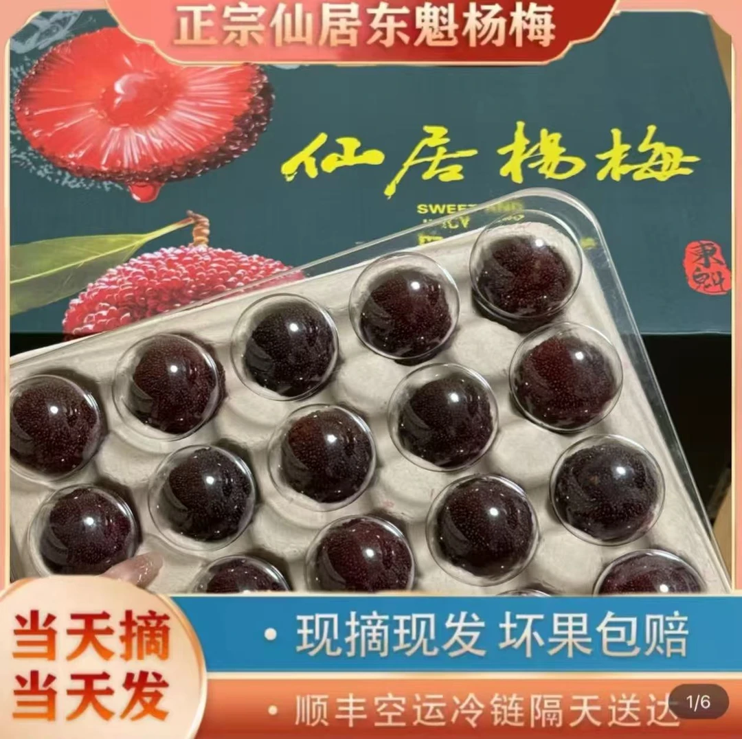 正宗台州仙居东魁杨梅当季新鲜水果适用礼盒装现摘现发顺丰空运