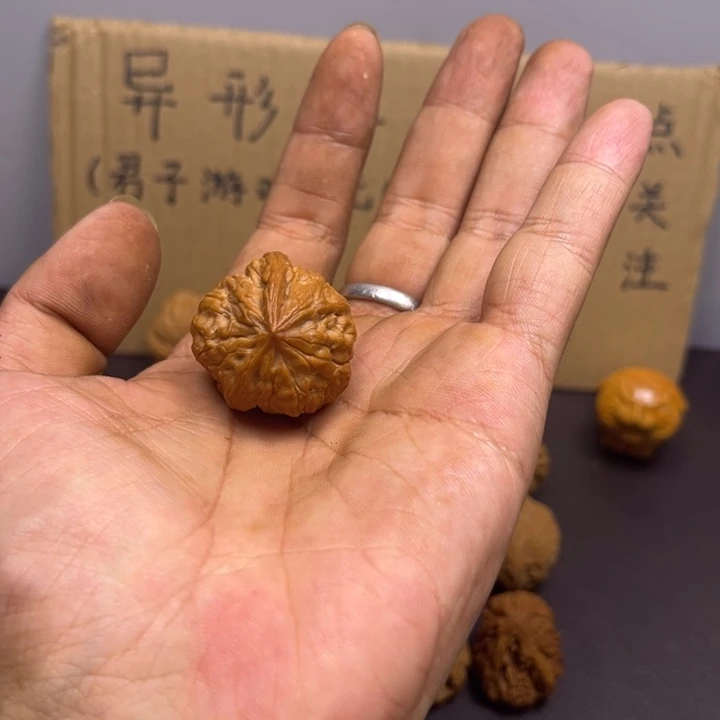****菩提籽类一根筋小众