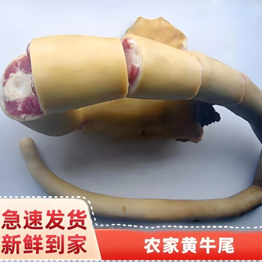 黄牛优选带皮牛尾鲜嫩生鲜原切现宰现发