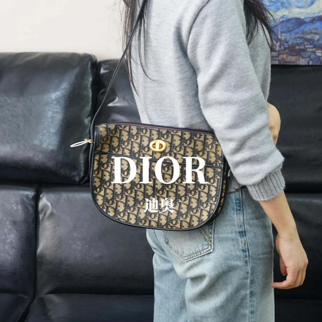 95新 DIOR/迪奥 老花单肩包/FYHD01725013/5013