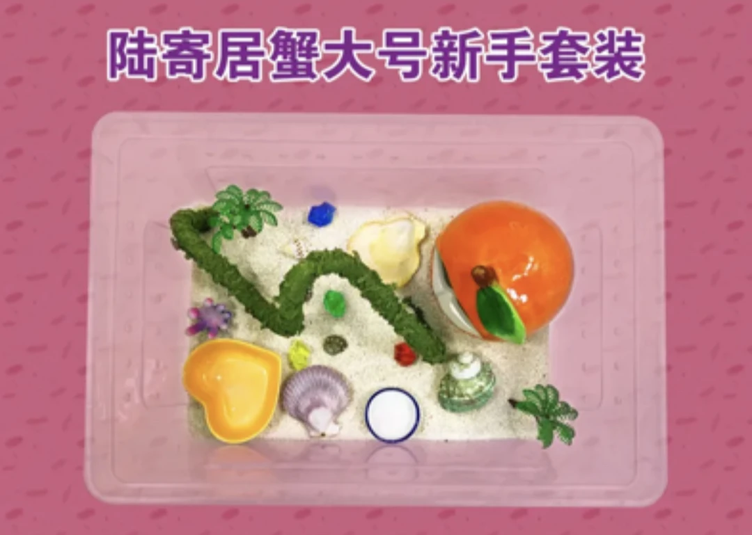 懒人新手宠物寄居蟹饲养盒饲养箱饲养缸套装隔离缸轻便携式旅行套