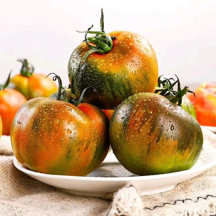 草莓番茄水果新鲜铁皮柿子西红柿水果柿子酸甜口味道正自然熟