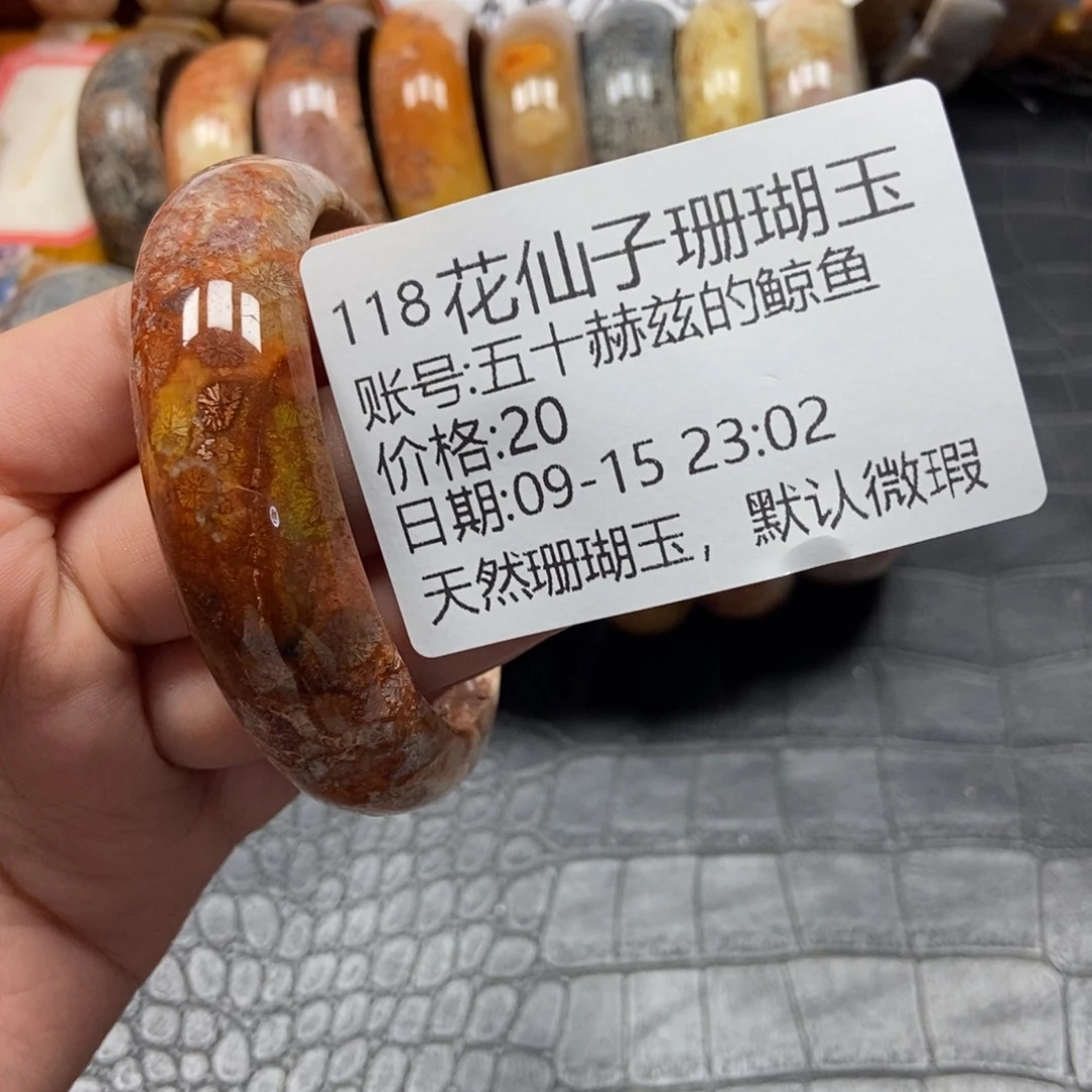 五***鱼未镶嵌硅化珊瑚（珊瑚玉）珠宝半成品118