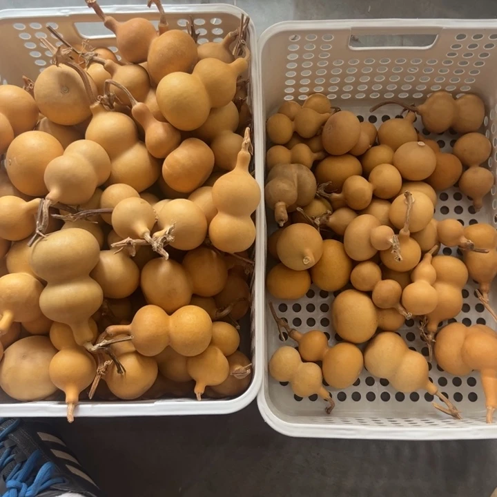 木“****生100个八宝