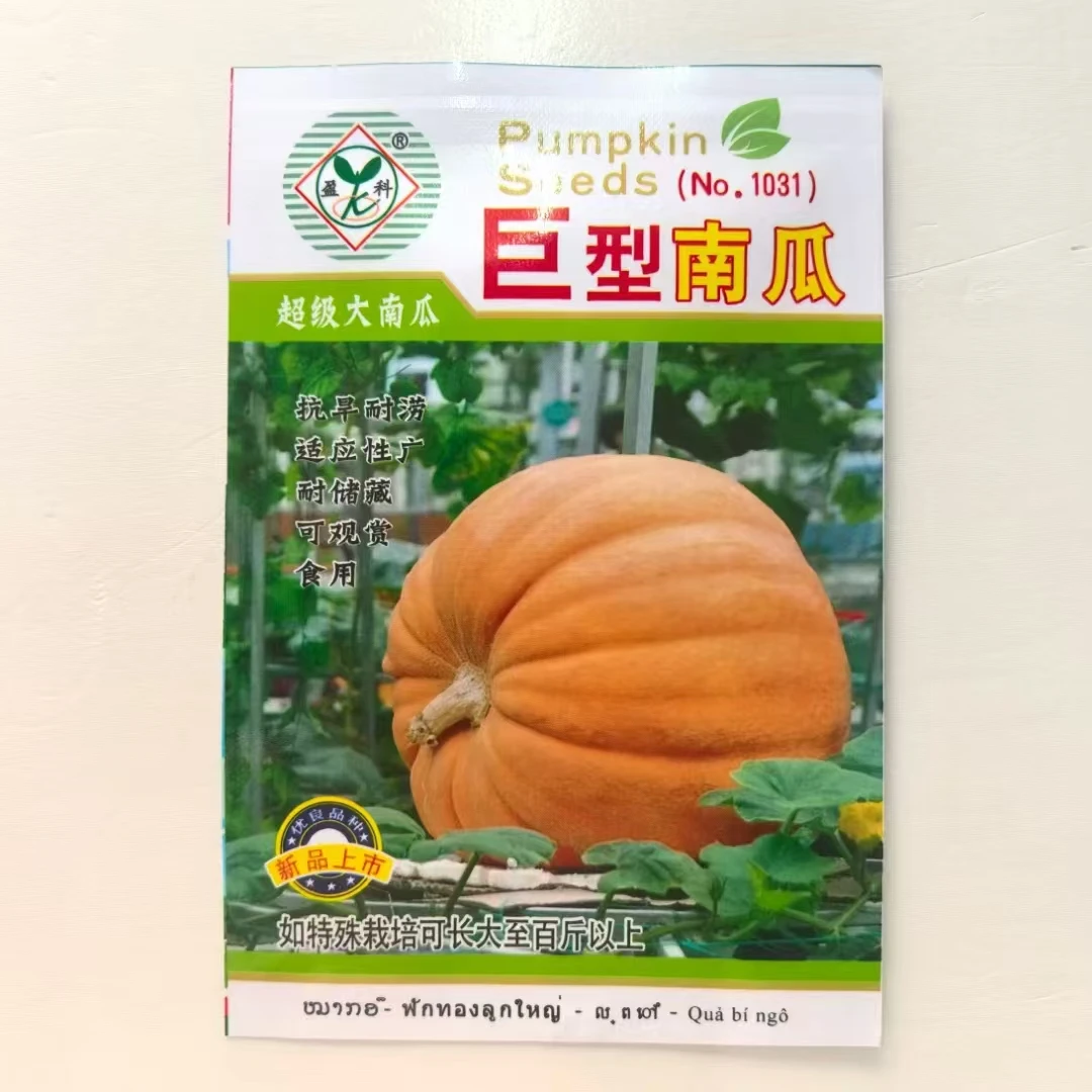 巨型南瓜种子超级大南瓜抗旱耐涝可观赏食用南瓜