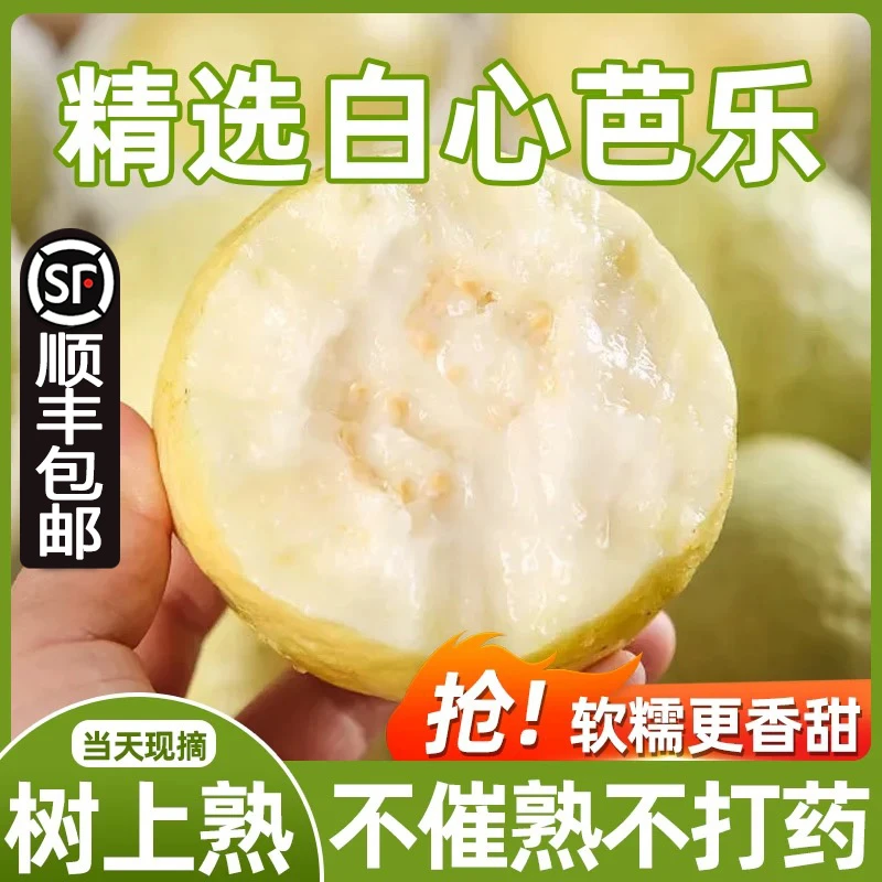 【放软吃】顺丰包邮广西奶油软心芭乐5斤当季新鲜水果3软糯白心芭乐