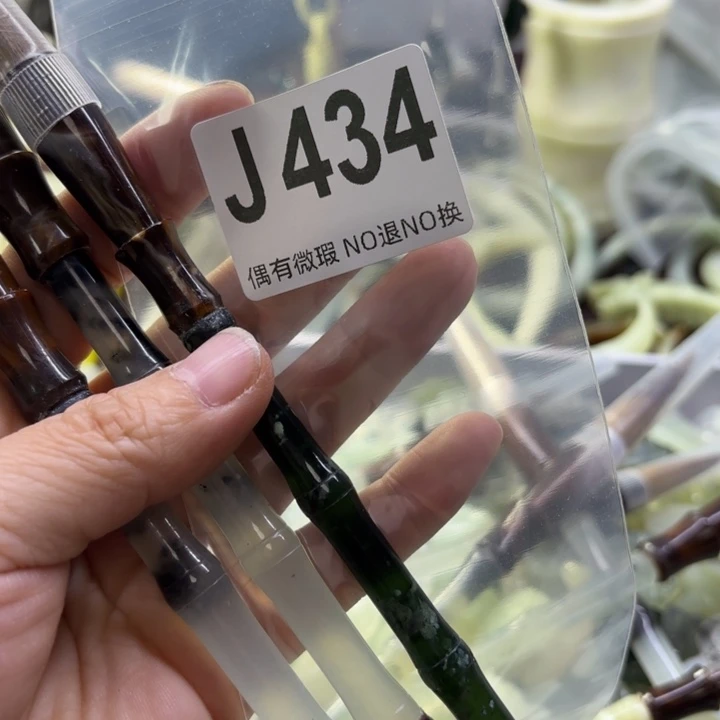 蛇纹石玉发饰合金予*初
