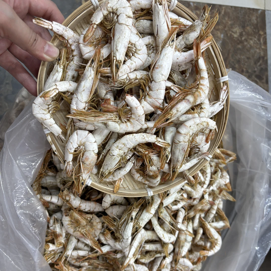 碣石港野生海产干货尖虾